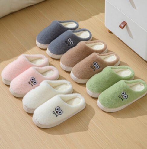 House foot wear